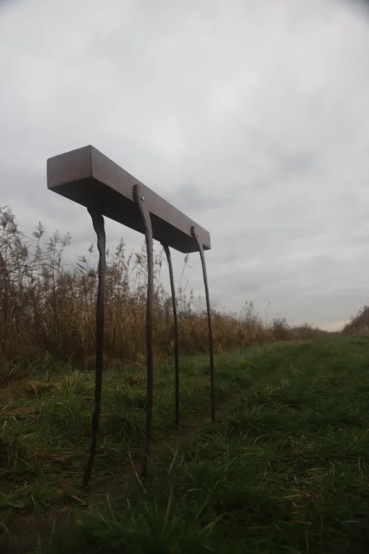 Plastic Panorama