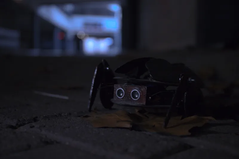 Scared Crawler