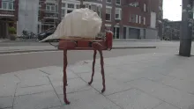 Trajector - First walk