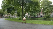Daring a bit further - Trajector