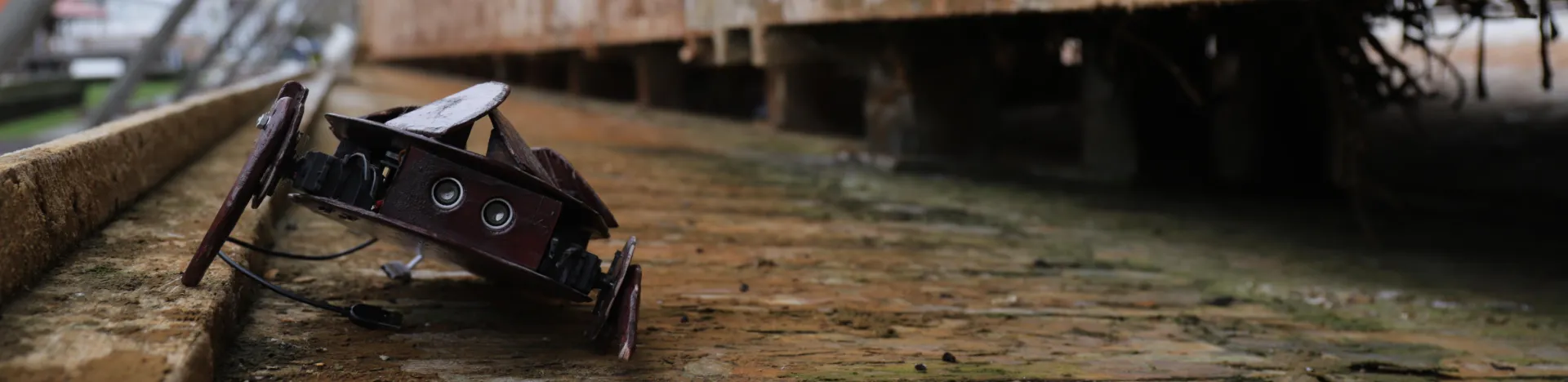 Salt - Crawler II